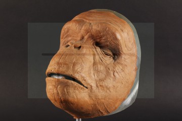 Ape mask